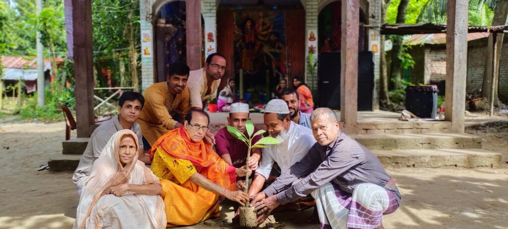 Planting the Seeds of Peace: Introducing TREE’s Newest Initiative, Peace Tree